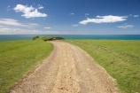 agricultural;agriculture;Cape-Kidnappers;country;countryside;farm;farm-track;farm-tracks;farming;farmland;farms;field;fields;gravel-road;gravel-roads;Hawkes-Bay;Hawkes-Bay;meadow;meadows;metal-road;metal-roads;metalled-road;metalled-roads;N.I.;N.Z.;New-Zealand;NI;North-Is;North-Is.;North-Island;NZ;paddock;paddocks;pasture;pastures;road;roads;rural