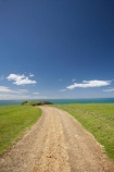 agricultural;agriculture;Cape-Kidnappers;country;countryside;farm;farm-track;farm-tracks;farming;farmland;farms;field;fields;gravel-road;gravel-roads;Hawkes-Bay;Hawkes-Bay;meadow;meadows;metal-road;metal-roads;metalled-road;metalled-roads;N.I.;N.Z.;New-Zealand;NI;North-Is;North-Is.;North-Island;NZ;paddock;paddocks;pasture;pastures;road;roads;rural