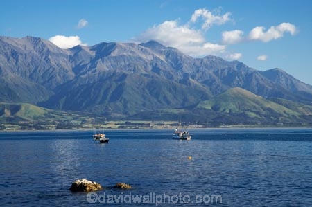 boat;boats;coast;coastal;coastline;coastlines;coasts;fishing-boat;fishing-boats;Kaikoura;Kaikoura-Coast;Marlborough;N.Z.;New-Zealand;NZ;ocean;oceans;Pacific-Ocean;S.I.;sea;Seaward-Kaikoura-Range;Seaward-Kaikoura-Ranges;shore;shoreline;shorelines;shores;SI;South-Island;water