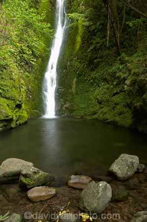 cascade;cascades;creek;creeks;falls;Kaikoura;Kaikoura-Coast;Marlborough;N.Z.;natural;nature;New-Zealand;NZ;Ohau-Point-Waterfall;Ohau-Waterfall;pool;pools;S.I.;scene;scenic;Seaward-Kaikoura-Range;Seaward-Kaikoura-Ranges;SI;South-Island;stream;streams;water;water-fall;water-falls;waterfall;waterfalls;wet