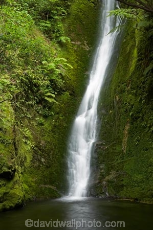 cascade;cascades;creek;creeks;falls;Kaikoura;Kaikoura-Coast;Marlborough;N.Z.;natural;nature;New-Zealand;NZ;Ohau-Point-Waterfall;Ohau-Waterfall;pool;pools;S.I.;scene;scenic;Seaward-Kaikoura-Range;Seaward-Kaikoura-Ranges;SI;South-Island;stream;streams;water;water-fall;water-falls;waterfall;waterfalls;wet