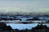 coast;coastal;coastline;coastlines;coasts;Kaikoura;Kaikoura-Coast;Kaikoura-Range;Kaikoura-Ranges;Marlborough;New-Zealand;NZ;ocean;oceans;Pacific-Ocean;S.I.;sea;seas;Seaward-Kaikoura-Range;Seaward-Kaikoura-Ranges;shore;shoreline;shorelines;shores;South-Is;South-Island;Sth-Is;water