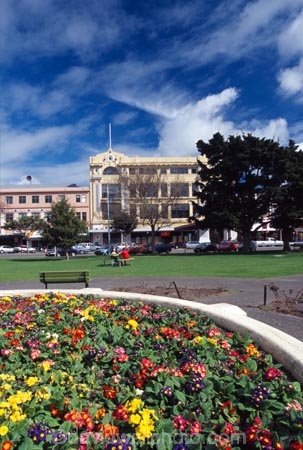 The-Square;square;Palmerston-North;palmerston;flower;flowers;flower-garden;manawatu;north-island;city;cities