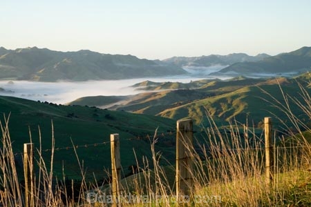 agricultural;agriculture;cloud;cloudy;country;countryside;early-morning;farm;farming;farmland;farms;fence;fence_line;fence_lines;fenceline;fencelines;fences;field;fields;fog;foggy;Hikawera;Hinakura;Martinborough;meadow;meadows;mist;misty;N.I.;N.Z.;New-Zealand;NI;North-Island;NZ;paddock;paddocks;pasture;pastures;rural;Wairarapa