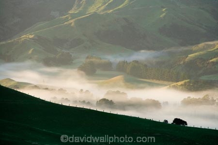 agricultural;agriculture;cloud;cloudy;country;countryside;early-morning;farm;farming;farmland;farms;field;fields;fog;foggy;Hikawera;Hinakura;Martinborough;meadow;meadows;mist;misty;N.I.;N.Z.;New-Zealand;NI;North-Island;NZ;paddock;paddocks;pasture;pastures;rural;Wairarapa