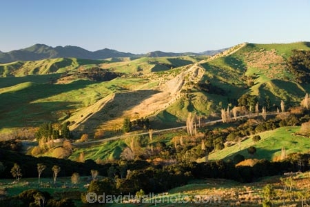 agricultural;agriculture;autuminal;autumn;autumnal;color;colors;colour;colours;country;countryside;deciduous;fall;farm;farming;farmland;farms;field;fields;Hikawera;Hinakura;leaf;leaves;Martinborough;meadow;meadows;N.I.;N.Z.;New-Zealand;NI;North-Island;NZ;paddock;paddocks;pasture;pastures;rural;season;seasonal;seasons;tree;trees;Wairarapa