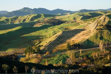 agricultural;agriculture;autuminal;autumn;autumnal;color;colors;colour;colours;country;countryside;deciduous;fall;farm;farming;farmland;farms;field;fields;Hikawera;Hinakura;leaf;leaves;Martinborough;meadow;meadows;N.I.;N.Z.;New-Zealand;NI;North-Island;NZ;paddock;paddocks;pasture;pastures;rural;season;seasonal;seasons;sheep-truck;sheep-trucks;sheep_truck;sheep_trucks;sheeptruck;sheeptrucks;tree;trees;Wairarapa