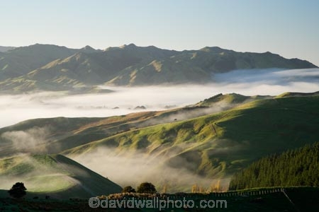 agricultural;agriculture;cloud;cloudy;country;countryside;early-morning;farm;farming;farmland;farms;field;fields;fog;foggy;Hikawera;Hinakura;Martinborough;meadow;meadows;mist;misty;N.I.;N.Z.;New-Zealand;NI;North-Island;NZ;paddock;paddocks;pasture;pastures;rural;Wairarapa