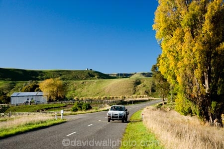 4wd;4wds;4wds;4x4;4x4s;4x4s;agricultural;agriculture;autuminal;autumn;autumn-colour;autumn-colours;autumnal;centre-line;centre-lines;centre_line;centre_lines;centreline;centrelines;color;colors;colour;colours;country;countryside;deciduous;driving;fall;farm;farming;farmland;farms;field;fields;four-by-four;four-by-fours;four-wheel-drive;four-wheel-drives;highway;highways;leaf;leaves;Martinborough;meadow;meadows;N.I.;N.Z.;New-Zealand;NI;North-Island;NZ;open-road;open-roads;paddock;paddocks;pasture;pastures;poplar;poplars;road;road-trip;roads;rural;season;seasonal;seasons;shearing-shed;shearing-sheds;sheep-shed;sheep-sheds;straight;suv;suvs;transport;transportation;travel;traveling;travelling;tree;trees;trip;vehicle;vehicles;Wairarapa;wool-shed;wool-sheds