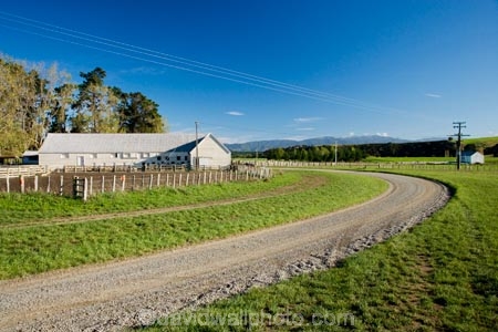 agricultural;agriculture;country;countryside;dusty;farm;farming;farmland;farms;field;fields;gravel-road;gravel-roads;meadow;meadows;metal-road;metal-roads;metalled-road;metalled-roads;N.I.;N.Z.;New-Zealand;NI;North-Island;NZ;paddock;paddocks;pasture;pastures;road;roads;rural;shearing-shed;shearing-sheds;sheep-shed;sheep-sheds;Wairarapa;wool-shed;wool-sheds