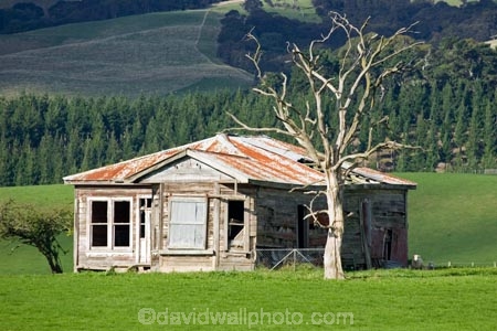 abandon;abandoned;agricultural;agriculture;castaway;character;country;countryside;derelict;dereliction;deserted;desolate;desolation;destruction;farm;farm-house;farm-houses;farming;farmland;farms;field;fields;Gladstone;house;houses;meadow;meadows;N.I.;N.Z.;neglect;neglected;New-Zealand;NI;North-Island;NZ;old;old-fashioned;old_fashioned;paddock;paddocks;pasture;pastures;run-down;rural;rustic;vintage;Wairarapa