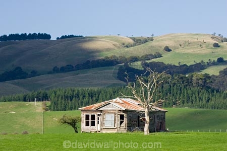 abandon;abandoned;agricultural;agriculture;castaway;character;country;countryside;derelict;dereliction;deserted;desolate;desolation;destruction;farm;farm-house;farm-houses;farming;farmland;farms;field;fields;Gladstone;house;houses;meadow;meadows;N.I.;N.Z.;neglect;neglected;New-Zealand;NI;North-Island;NZ;old;old-fashioned;old_fashioned;paddock;paddocks;pasture;pastures;run-down;rural;rustic;vintage;Wairarapa