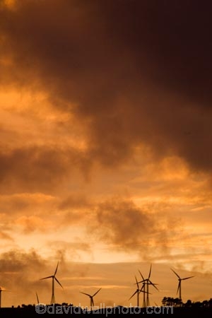 660kW-turbines;alternative-energies;alternative-energy;break-of-day;dawn;dawning;daybreak;electrical;electricity;electricity-generation;electricity-generators;energy;environment;environmental;first-light;generation;generator;generators;industrial;industry;Lower-North-Island;Manawatu;morning;N.I.;N.Z.;New-Zealand;NI;North-Island;NZ;orange;Palmerston-North;power-generation;power-generators;propeller;propellers;renewable-energies;renewable-energy;spin;spining;sunrise;sunrises;sunup;sustainable-energies;sustainable-energy;Tararua;Tararua-Range;Tararua-Ranges;Tararua-Wind-Farm;Trustpower;turn;turning;twilight;Vestas-V47;wind;wind-farm;wind-farms;wind-generator;wind-generators;wind-power;wind-power-plant;wind-power-plants;wind-turbine;wind-turbines;wind_farm;wind_farms;windfarm;windfarms;windmill;windmills;windturbine;windturbines;windy