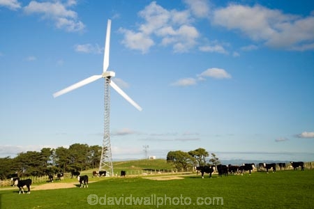 660kW-turbines;alternative-energies;alternative-energy;electrical;electricity;electricity-generation;electricity-generators;energy;environment;environmental;generation;generator;generators;industrial;industry;Lower-North-Island;Manawatu;N.I.;N.Z.;New-Zealand;NI;North-Island;NZ;Palmerston-North;power-generation;power-generators;propeller;propellers;renewable-energies;renewable-energy;spin;spining;sustainable-energies;sustainable-energy;Tararua;Tararua-Range;Tararua-Ranges;Tararua-Wind-Farm;Trustpower;turn;turning;Vestas-V47;wind;wind-farm;wind-farms;wind-generator;wind-generators;wind-power;wind-power-plant;wind-power-plants;wind-turbine;wind-turbines;wind_farm;wind_farms;windfarm;windfarms;windmill;windmills;windturbine;windturbines;windy