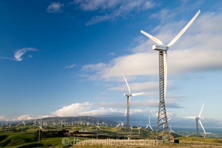660kW-turbines;alternative-energies;alternative-energy;electrical;electricity;electricity-generation;electricity-generators;energy;environment;environmental;generation;generator;generators;industrial;industry;Lower-North-Island;Manawatu;N.I.;N.Z.;New-Zealand;NI;North-Island;NZ;Palmerston-North;power-generation;power-generators;propeller;propellers;renewable-energies;renewable-energy;spin;spining;sustainable-energies;sustainable-energy;Tararua;Tararua-Range;Tararua-Ranges;Tararua-Wind-Farm;Trustpower;turn;turning;Vestas-V47;wind;wind-farm;wind-farms;wind-generator;wind-generators;wind-power;wind-power-plant;wind-power-plants;wind-turbine;wind-turbines;wind_farm;wind_farms;windfarm;windfarms;windmill;windmills;windturbine;windturbines;windy