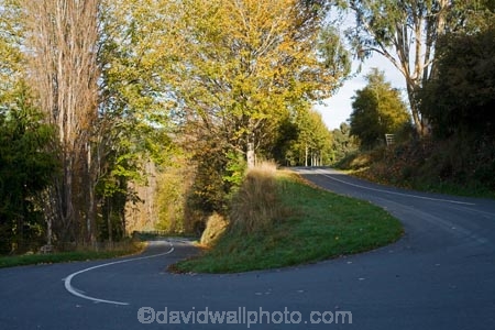 autuminal;autumn;autumn-colour;autumn-colours;autumnal;bend;bends;centre-line;centre-lines;centre_line;centre_lines;centreline;centrelines;color;colors;colour;colours;corner;corners;deciduous;driving;fall;hairpin;hairpins;highway;highways;leaf;leaves;N.I.;N.Z.;New-Zealand;NI;North-Island;NZ;open-road;open-roads;Rangitikei;road;road-trip;roads;season;seasonal;seasons;straight;transport;transportation;travel;traveling;travelling;tree;trees;trip