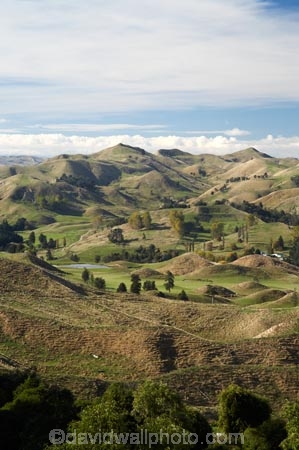 agricultural;agriculture;Bells-Junction;Central-North-Island;Central-Plateau;country;countryside;farm;farming;farmland;farms;field;fields;meadow;meadows;N.I.;N.Z.;near-Waiouru;New-Zealand;NI;North-Island;NZ;Owhakura-Road;paddock;paddocks;pasture;pastures;Rangitikei-District;Ruapehu-District;rural