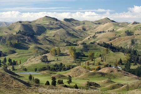 agricultural;agriculture;Bells-Junction;Central-North-Island;Central-Plateau;country;countryside;farm;farming;farmland;farms;field;fields;meadow;meadows;N.I.;N.Z.;near-Waiouru;New-Zealand;NI;North-Island;NZ;Owhakura-Road;paddock;paddocks;pasture;pastures;Rangitikei-District;Ruapehu-District;rural