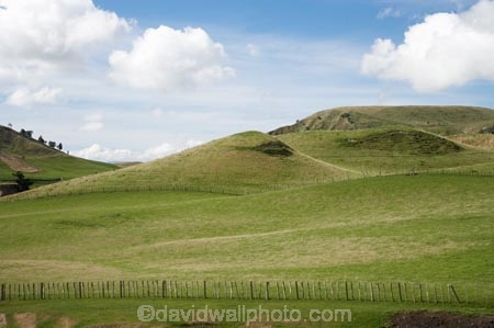 agricultural;agriculture;Central-North-Island;country;countryside;farm;farming;farmland;farms;field;fields;Mataroa;meadow;meadows;N.I.;N.Z.;near-Taihape;New-Zealand;NI;North-Island;NZ;paddock;paddocks;pasture;pastures;Rangitikei-District;rural