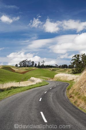 s-bend;s-bends;agricultural;agriculture;bend;bends;Central-North-Island;centre-line;centre-lines;centre_line;centre_lines;centreline;centrelines;corner;corners;country;countryside;driving;Erewhon-Road;farm;farming;farmland;farms;field;fields;highway;highways;meadow;meadows;Moawhango;N.I.;N.Z.;Napier-_-Taihape-Road;New-Zealand;NI;North-Island;NZ;open-road;open-roads;paddock;paddocks;pasture;pastures;Rangitikei-District;road;road-trip;roads;rural;s-bend;s-bends;transport;transportation;travel;traveling;travelling;trip