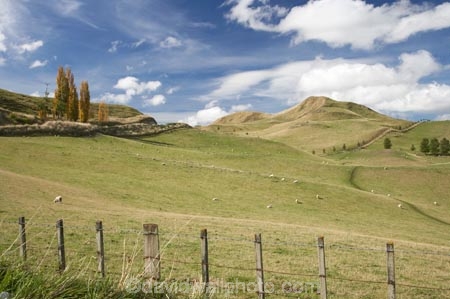 agricultural;agriculture;autuminal;autumn;autumn-colour;autumn-colours;autumnal;Central-North-Island;country;countryside;Erewhon-Station;fall;farm;farming;farmland;farms;fence;fence-line;fence-lines;fence_line;fence_lines;fenceline;fencelines;fences;field;fields;meadow;meadows;N.I.;N.Z.;Napier-_-Taihape-Road;New-Zealand;NI;North-Island;NZ;paddock;paddocks;pasture;pastures;Rangitikei-District;rural;season;seasonal;seasons