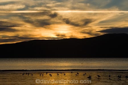 beach;beaches;calm;cloud;clouds;coast;coastal;coastline;coastlines;coasts;dusk;end-of-day;end-of-the-day;evening;foreshore;Kapiti-Coast;Kapiti-Is;Kapiti-Is.;Kapiti-Island;last-light;N.Z.;New-Zealand;nightfall;North-Is;North-Is.;North-Island;NZ;ocean;oceans;Otaheke-Strait;Paraparaumu;Paraparaumu-Beach;placid;quiet;Rauoterangi-Channel;reflection;reflections;sand;sandy;sea;seas;serene;shore;shoreline;shorelines;shores;sky;smooth;still;sunset;sunsets;Tasman-Sea;tidal;tides;tranquil;twilight;water