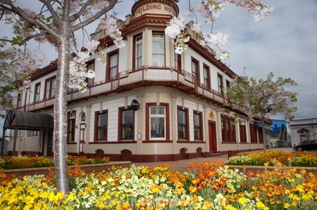 ale-house;ale-houses;architecture;bar;bars;blossom;building;buildings;colonial;Fielding;Fielding-Hotel;floral;flower;flower-bed;flower-beds;flower-garden;flower-gardens;flowers;free-house;free-houses;heritage;Historic;historic-building;historic-buildings;historical;historical-building;historical-buildings;history;hotel;hotels;Manawatu;Manchester-Square;N.I.;N.Z.;New-Zealand;NI;North-Is;North-Island;NZ;old;place;places;pub;public-house;public-houses;pubs;saloon;saloons;spring;spring-flowers;spring-time;tavern;taverns;The-Fielding-Hotel;tradition;traditional
