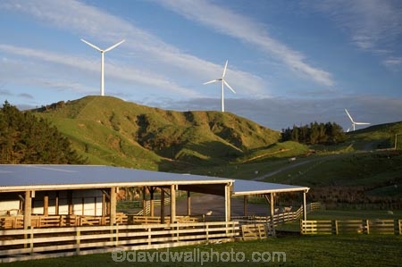 agricultural;agriculture;alternative-energies;alternative-energy;country;countryside;crop;crops;electrical;electricity;electricity-generation;electricity-generators;energy;environment;environmental;farm;Farm-Building;Farm-Buildings;Farm-Shed;Farm-Sheds;farming;farmland;farms;field;fields;generation;generator;generators;horticulture;industrial;industry;Manawatu;meadow;meadows;Meridian-Energy;N.I.;N.Z.;New-Zealand;NI;North-Is;North-Island;NZ;paddock;paddocks;pasture;pastures;power-generation;power-generators;propeller;propellers;renewable-energies;renewable-energy;Ruahine-Range;Ruahine-Ranges;rural;Shearing-Shed;Shearing-Sheds;Sheep-Shed;Sheep-Sheds;spin;spining;sustainable-energies;sustainable-energy;Te-Apiti-Wind-Farm;turn;turning;wind;wind-farm;wind-farms;wind-generator;wind-generators;wind-power;wind-power-plant;wind-power-plants;wind-turbine;wind-turbines;wind_farm;wind_farms;windfarm;windfarms;windmill;windmills;windturbine;windturbines;windy;Wool-Shed;Wool-Sheds;woolshed;woolsheds