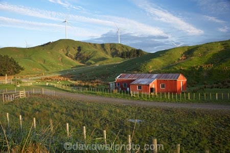 agricultural;agriculture;alternative-energies;alternative-energy;country;countryside;crop;crops;electrical;electricity;electricity-generation;electricity-generators;energy;environment;environmental;farm;Farm-Building;Farm-Buildings;Farm-Shed;Farm-Sheds;farming;farmland;farms;field;fields;generation;generator;generators;horticulture;industrial;industry;Manawatu;meadow;meadows;Meridian-Energy;N.I.;N.Z.;New-Zealand;NI;North-Is;North-Island;NZ;paddock;paddocks;pasture;pastures;power-generation;power-generators;propeller;propellers;renewable-energies;renewable-energy;Ruahine-Range;Ruahine-Ranges;rural;Shearing-Shed;Shearing-Sheds;Sheep-Shed;Sheep-Sheds;spin;spining;sustainable-energies;sustainable-energy;Te-Apiti-Wind-Farm;turn;turning;wind;wind-farm;wind-farms;wind-generator;wind-generators;wind-power;wind-power-plant;wind-power-plants;wind-turbine;wind-turbines;wind_farm;wind_farms;windfarm;windfarms;windmill;windmills;windturbine;windturbines;windy;Wool-Shed;Wool-Sheds;woolshed;woolsheds