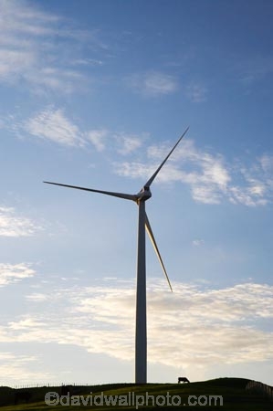 agricultural;agriculture;alternative-energies;alternative-energy;animal;animals;calves;cattle;country;countryside;cow;cows;crop;crops;electrical;electricity;electricity-generation;electricity-generators;energy;environment;environmental;farm;farming;farmland;farms;field;fields;generation;generator;generators;Herbivore;Herbivores;Herbivorous;horticulture;industrial;industry;Livestock;mammal;mammals;Manawatu;meadow;meadows;Meridian-Energy;N.I.;N.Z.;New-Zealand;NI;North-Is;North-Island;NZ;paddock;paddocks;pasture;pastures;power-generation;power-generators;propeller;propellers;renewable-energies;renewable-energy;Ruahine-Range;Ruahine-Ranges;rural;spin;spining;stock;sustainable-energies;sustainable-energy;Te-Apiti-Wind-Farm;turn;turning;wind;wind-farm;wind-farms;wind-generator;wind-generators;wind-power;wind-power-plant;wind-power-plants;wind-turbine;wind-turbines;wind_farm;wind_farms;windfarm;windfarms;windmill;windmills;windturbine;windturbines;windy