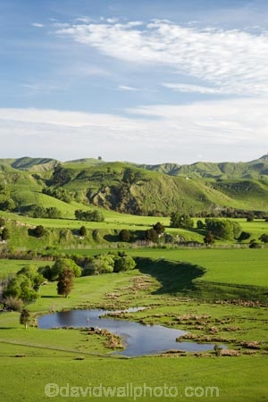 agricultural;agriculture;country;countryside;dam;dams;farm;farming;farmland;farms;field;fields;Fresh;green;grow;Growth;island;Lower-North-Island;lush;masterton;meadow;meadows;N.I.;N.Z.;near;new;new-zealand;NI;north;North-Is;north-is.;north-island;NZ;o8l0970;paddock;paddocks;pasture;pastures;pond;ponds;rural;season;seasonal;seasons;spring;springtime;Tauweru;wairarapa;zealand