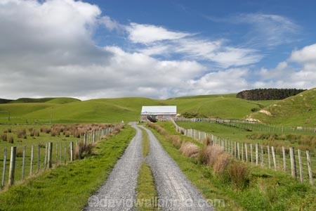 agricultural;agriculture;and;building;country;countryside;farm;Farm-Building;Farm-Buildings;Farm-Shed;Farm-Sheds;farm-track;farm-tracks;farming;farmland;farms;ferry;field;fields;island;lake;Lower-North-Island;meadow;meadows;N.I.;N.Z.;near;new;new-zealand;NI;north;North-Is;north-is.;north-island;NZ;o8l6532;paddock;paddocks;pasture;pastures;rural;Shearing-Shed;Shearing-Sheds;Sheep-Shed;Sheep-Sheds;track;tracks;wairarapa;zealand