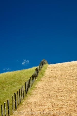 agricultural;agriculture;blue-skies;blue-sky;country;countryside;dry-grass;farm;farming;farmland;farms;fence;fenceline;fencelines;fences;field;fields;grass;green-grass;hill;hills;Lower-North-Island;Martinborough;meadow;meadows;N.I.;N.Z.;New-Zealand;NI;North-Is;North-Island;NZ;paddock;paddocks;pasture;pastures;rural;sky;Wairarapa;wet-and-dry