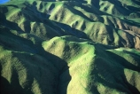 farm;rural;grass;agriculture;farming;farms;pasture;paddock;paddocks;field;fields;meadow;meadows;pastures;north-island;golden;trees;tree;farmland;lush;green;verdant;fertile;hill;hills;hilly;steep;kapiti;folded;valley;valleys;ridge;ridges;pukerua-bay;aerial;aerials