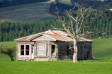 abandon;abandoned;agricultural;agriculture;castaway;character;country;countryside;derelict;dereliction;deserted;desolate;desolation;destruction;farm;farm-house;farm-houses;farming;farmland;farms;field;fields;Gladstone;house;houses;meadow;meadows;N.I.;N.Z.;neglect;neglected;New-Zealand;NI;North-Island;NZ;old;old-fashioned;old_fashioned;paddock;paddocks;pasture;pastures;run-down;rural;rustic;vintage;Wairarapa