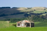 abandon;abandoned;agricultural;agriculture;castaway;character;country;countryside;derelict;dereliction;deserted;desolate;desolation;destruction;farm;farm-house;farm-houses;farming;farmland;farms;field;fields;Gladstone;house;houses;meadow;meadows;N.I.;N.Z.;neglect;neglected;New-Zealand;NI;North-Island;NZ;old;old-fashioned;old_fashioned;paddock;paddocks;pasture;pastures;run-down;rural;rustic;vintage;Wairarapa