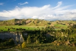 Lower North Island
