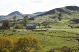 agricultural;agriculture;autuminal;autumn;autumn-colour;autumn-colours;autumnal;Central-North-Island;Colliers-Junction;color;colors;colour;colours;country;countryside;deciduous;fall;farm;Farm-Building;Farm-Buildings;Farm-Shed;Farm-Sheds;farming;farmland;farms;field;fields;leaf;leaves;meadow;meadows;N.I.;N.Z.;New-Zealand;NI;North-Island;NZ;paddock;paddocks;pasture;pastures;Rangitikei-District;rural;season;seasonal;seasons;Shearing-Shed;Shearing-Sheds;Sheep-Shed;Sheep-Sheds;tree;trees;Wool-Shed;Wool-Sheds