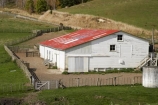agricultural;agriculture;Central-North-Island;country;countryside;farm;Farm-Building;Farm-Buildings;Farm-Shed;Farm-Sheds;farming;farmland;farms;field;fields;Mataroa;meadow;meadows;N.I.;N.Z.;near-Taihape;New-Zealand;NI;North-Island;NZ;paddock;paddocks;pasture;pastures;Rangitikei-District;rural;Shearing-Shed;Shearing-Sheds;Sheep-Shed;Sheep-Sheds;Wool-Shed;Wool-Sheds