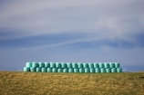 agricultural;agriculture;bale;bales;Central-North-Island;country;countryside;farm;farming;farmland;farms;field;fields;hay;hay-bale;hay-bales;horticulture;meadow;meadows;N.I.;N.Z.;Napier-_-Taihape-Road;New-Zealand;NI;North-Island;NZ;paddock;paddocks;pasture;pastures;plastic-covered;Rangitikei-District;round-bale;round-bales;rural;straw;straw-bale;straw-bales;winter-feed;wrap;wrapped