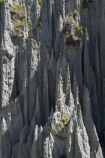 Aorangi-Forest-Park;erode;erosion;formation;formations;geological;geology;island;Lord-of-the-Rings-Location;LOTR-Location;Lower-North-Island;N.I.;N.Z.;new;new-zealand;NI;north;North-Is;north-is.;north-island;NZ;o8l6301;outcrop;outcrops;pinnacle;pinnacles;Pinnacles-Track;putangirua;Putangirua-Pinnacle;Putangirua-Pinnacles;Putangirua-Pinnacles-Scenic-Rese;rock;rock-formation;Rock-Formations;rocks;stone;unusual;unusual-natural-feature;unusual-natural-features;wairarapa;zealand