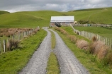 agricultural;agriculture;and;building;country;countryside;farm;Farm-Building;Farm-Buildings;Farm-Shed;Farm-Sheds;farm-track;farm-tracks;farming;farmland;farms;ferry;field;fields;island;lake;Lower-North-Island;meadow;meadows;N.I.;N.Z.;near;new;new-zealand;NI;north;North-Is;north-is.;north-island;NZ;o8l6531;paddock;paddocks;pasture;pastures;rural;Shearing-Shed;Shearing-Sheds;Sheep-Shed;Sheep-Sheds;track;tracks;wairarapa;zealand
