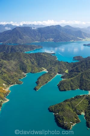 aerial;aerials;bay;bays;beautiful;beauty;bush;coast;coastal;coastline;coastlines;coasts;cove;coves;endemic;forest;forests;green;inlet;inlets;Kenepuru-Sound;marlborough;Marlborough-Sounds;Mistletoe-Bay;native;native-bush;natives;natural;nature;new-zealand;nz;queen-charlotte-sound;scene;scenic;sea;shore;shoreline;shorelines;shores;sound;sounds;south-island;Te-Mahia-Bay;tree;trees;water;Waterfall-Bay;woods
