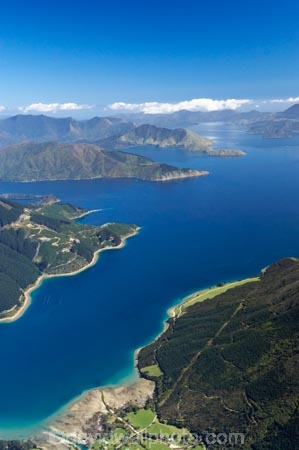 aerial;aerials;bay;bays;beautiful;beauty;bush;Clova-Bay;coast;coastal;coastline;coastlines;coasts;cove;coves;endemic;forest;forests;green;inlet;inlets;marlborough;Marlborough-Sounds;native;native-bush;natives;natural;nature;new-zealand;nz;Pelorus-Sound;scene;scenic;sea;shore;shoreline;shorelines;shores;sound;sounds;south-island;tree;trees;water;woods