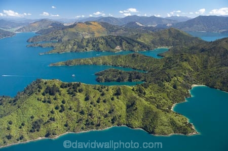 aerial;aerials;bay;bays;beautiful;beauty;bush;coast;coastal;coastline;coastlines;coasts;cove;coves;endemic;forest;forests;green;inlet;inlets;marlborough;Marlborough-Sounds;native;native-bush;natives;natural;nature;new-zealand;nz;queen-charlotte-sound;scene;scenic;sea;shore;shoreline;shorelines;shores;sound;sounds;south-island;Torea-Bay;tree;trees;water;woods