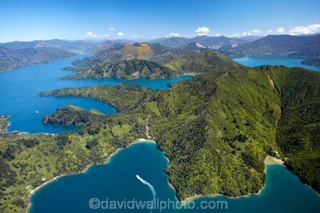 aerial;aerials;bay;bays;beautiful;beauty;boat;boats;bush;coast;coastal;coastline;coastlines;coasts;cove;coves;cruise;cruises;Double-Cove;endemic;forest;forests;green;inlet;inlets;launch;launches;Lochmara-Bay;marlborough;Marlborough-Sounds;native;native-bush;natives;natural;nature;new-zealand;nz;pleasure-boat;pleasure-boats;queen-charlotte-sound;scene;scenic;sea;shore;shoreline;shorelines;shores;sound;sounds;south-island;speed-boat;speed-boats;torea-bay;tree;trees;wake;water;woods