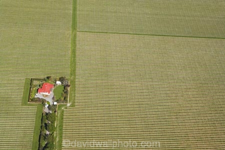 aerial;aerials;agricultural;agriculture;blenheim;country;countryside;crop;crops;cultivate;cultivation;farm;farm-house;farmhouse;farming;farmland;farms;field;fields;grape;grapes;grapevine;horticulture;marlborough;n.z.;New-Zealand;nz;red-roof;row;rows;rural;South-Island;vine;vines;vineyard;vineyards;vintage;wine;wineries;winery;wines