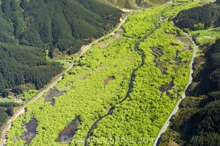 aerial;aerials;Blenheim-_-Picton-Railway-Line;exotic-forest;exotic-forestry;exotic-forests;forest;forestry;forests;marlborough;n.z.;New-Zealand;nz;pine-tree;pine-trees;rail-road;rail-roads;railroad;railroads;railway;railway-lines;South-Island;swamp;swampy;timber;tree;trees;trunk;trunks;Tuamarina-River;willow;willow-tree;willow-trees;willows;wood;woods
