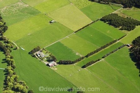 aerial;aerials;agricultural;agriculture;blenheim-_-picton-road;country;countryside;crop;crops;exotic-forest;exotic-forestry;exotic-forests;farm;farming;farmland;farms;field;fields;forest;forestry;forests;horticulture;korimiko;marlborough;meadow;meadows;n.z.;New-Zealand;nz;paddock;paddocks;pasture;pastures;pine-tree;pine-trees;rural;South-Island;timber;tree;trees;trunk;trunks;wood;woods