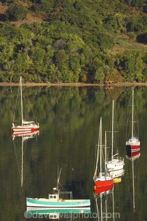 boat;boats;calm;calmness;fishing-boats;harbor;harbors;harbour;harbours;hull;hulls;launch;launches;marina;marinas;Marlborough;Marlborough-Sounds;mast;masts;moor;mooring;moorings;New-Zealand;peaceful;peacefulness;Picton;port;ports;Queen-Charlotte-Sound;reflection;reflections;sail;sailing;Shakespeare-Bay;South-Island;still;stillness;tranquil;tranquility;yacht;yachts